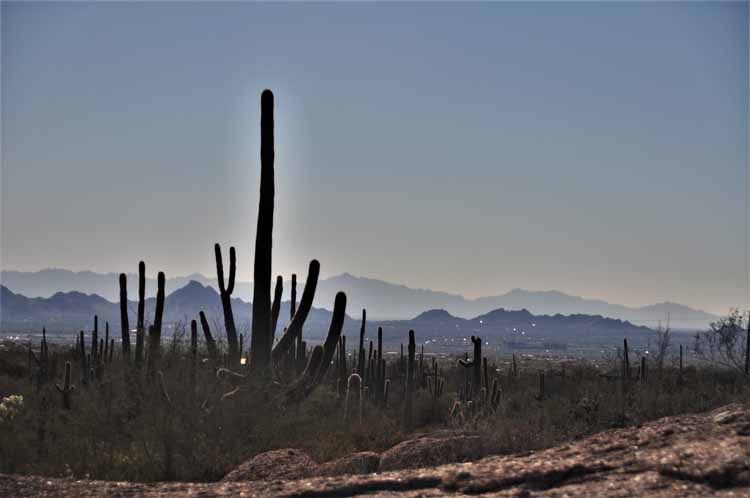 pinnacle peak